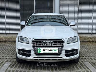Audi SQ5 AUDI SQ5 3.0 V6 TDI Biturbo quattro tiptronic Business Bianco usata Trento