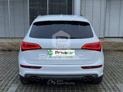 Audi SQ5 AUDI SQ5 3.0 V6 TDI Biturbo quattro tiptronic Business Bianco usata Trento