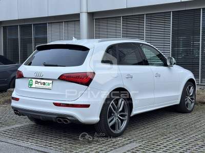 Audi SQ5 AUDI SQ5 3.0 V6 TDI Biturbo quattro tiptronic Business Bianco usata Trento