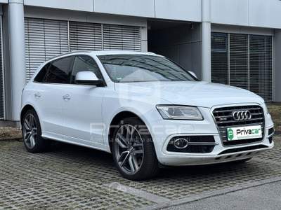 Audi SQ5 AUDI SQ5 3.0 V6 TDI Biturbo quattro tiptronic Business Bianco usata Trento