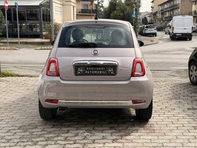 Fiat 500 500 1.0 Hybrid Star Lilla usata Montemurlo
