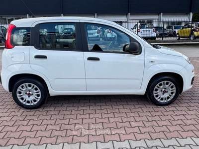 Fiat Panda 1.2  S.&S. E6D-TEMP EASY 5 POSTI GUIDABILE NEOPA Bianco usata Sesto Fiorentino