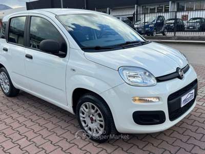 Fiat Panda 1.2  S.&S. E6D-TEMP EASY 5 POSTI GUIDABILE NEOPA Bianco usata Sesto Fiorentino