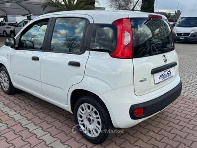 Fiat Panda 1.2  S.&S. E6D-TEMP EASY 5 POSTI GUIDABILE NEOPA Bianco usata Sesto Fiorentino