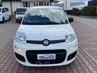 Fiat Panda 1.2  S.&S. E6D-TEMP EASY 5 POSTI GUIDABILE NEOPA Bianco usata Sesto Fiorentino