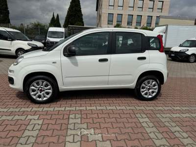 Fiat Panda 0.9 TwinAir Turbo Natural Power EASY Bianco usata Sesto Fiorentino