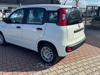 Fiat Pandina 1.0 FireFly Hybrid 65cv POP KMO Bianco usata Sesto Fiorentino