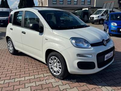 Fiat Pandina 1.0 FireFly Hybrid 65cv POP KMO Bianco usata Sesto Fiorentino