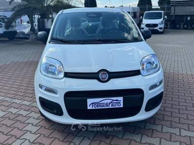 Fiat Pandina 1.0 FireFly Hybrid 65cv POP KMO Bianco usata Sesto Fiorentino