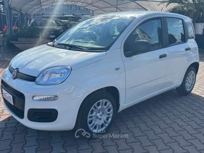 Fiat Pandina 1.0 FireFly Hybrid 65cv POP KMO Bianco usata Sesto Fiorentino