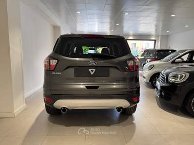 Ford Kuga 2.0 TDCI S&S 2WD Powershift Business Grigio usata AGROPOLI