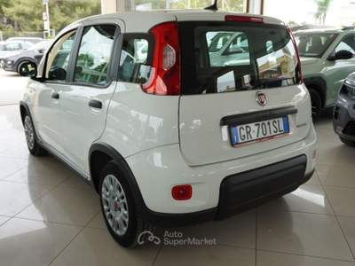 Fiat Panda 1.0 FireFly S&S Hybrid City Life Bianco usata San Vito dei Normanni