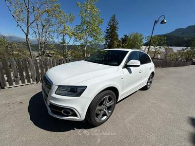 Audi Q5 AUDI Q5 V6 3.0 TDI QUATTRO S-LINE  Bianco usata Castelrotto