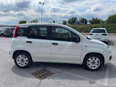 Fiat Panda 1.2 Easy 69 CV 5 Porte E6 Neopatentati Bianco usata Leno
