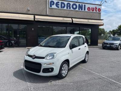 Fiat Panda 1.2 Easy 69 CV 5 Porte E6 Neopatentati Bianco usata Leno