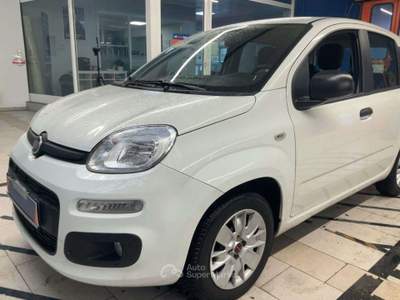 Fiat Panda 1.2 Easy 69 CV 5 Porte E6 Neopatentati usata Leno