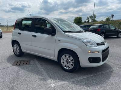 Fiat Panda 1.2 Easy 69 CV 5 Porte E6 Neopatentati Bianco usata Leno
