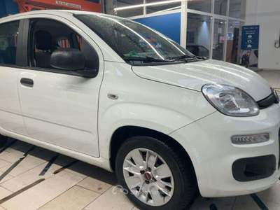 Fiat Panda 1.2 Easy 69 CV 5 Porte E6 Neopatentati usata Leno