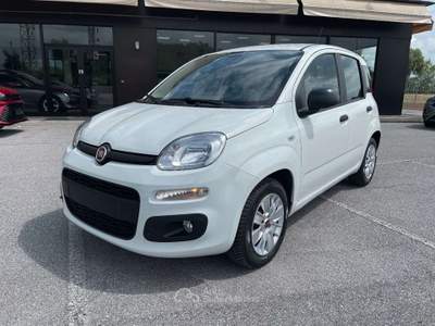 Fiat Panda 1.2 Easy 69 CV 5 Porte E6 Neopatentati Bianco usata Leno