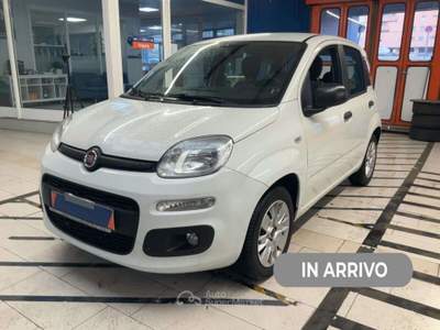 Fiat Panda 1.2 Easy 69 CV 5 Porte E6 Neopatentati usata Leno
