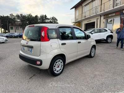 Fiat Panda Panda 1.2 Easy usata Cervia