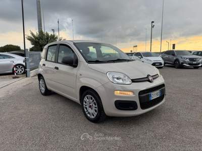 Fiat Panda Panda 1.2 Easy usata Cervia Fiat Panda Panda 1.2 Easy usata Cervia