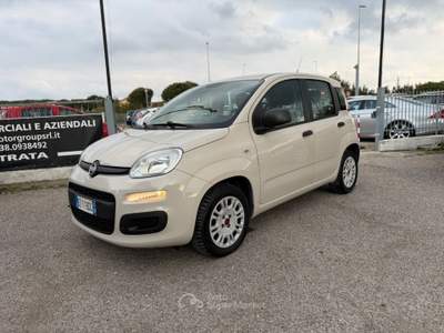 Fiat Panda Panda 1.2 Easy usata Cervia