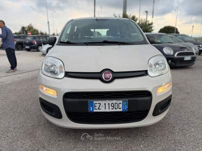 Fiat Panda Panda 1.2 Easy usata Cervia