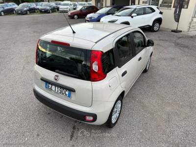 Fiat Panda Panda 1.2 Easy usata Cervia