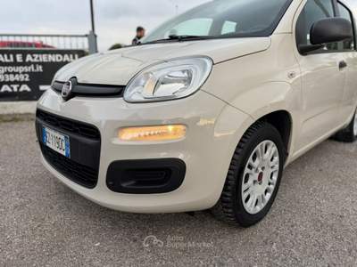 Fiat Panda Panda 1.2 Easy usata Cervia