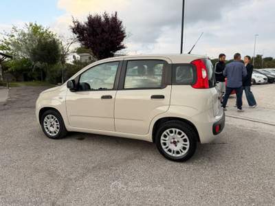 Fiat Panda Panda 1.2 Easy usata Cervia