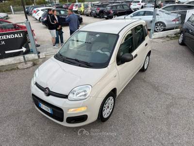 Fiat Panda Panda 1.2 Easy usata Cervia
