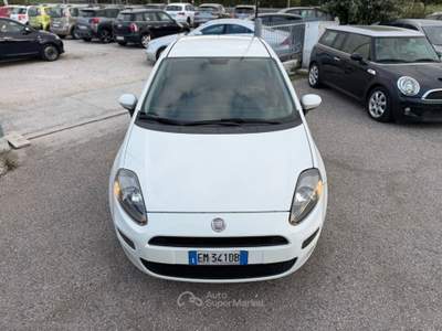 Fiat Punto Punto 1.2 8V 3p. Pop usata Cervia