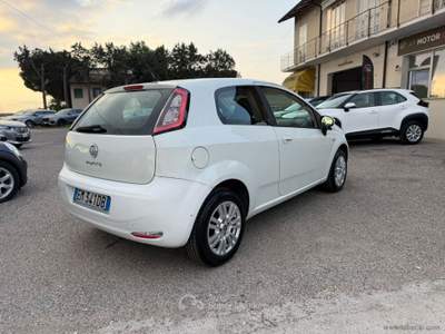 Fiat Punto Punto 1.2 8V 3p. Pop usata Cervia