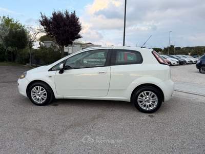 Fiat Punto Punto 1.2 8V 3p. Pop usata Cervia