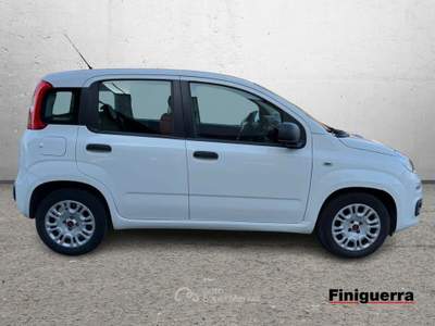 Fiat Panda 1.2 Lounge 69cv E6 Bianco usata Civate