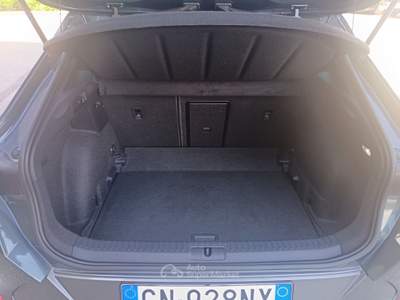 Cupra Formentor 2.0 TDI 4Drive DSG Grigio usata Villaga