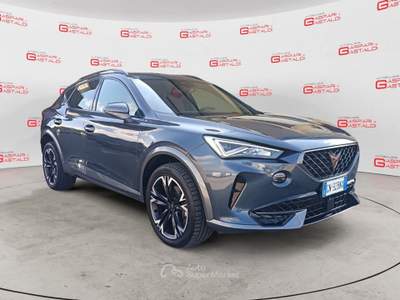 Cupra Formentor 2.0 TDI 4Drive DSG Grigio usata Villaga