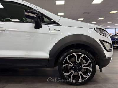 Ford EcoSport EcoSport 1.0 ecoboost Active Bianco usata Gaglianico