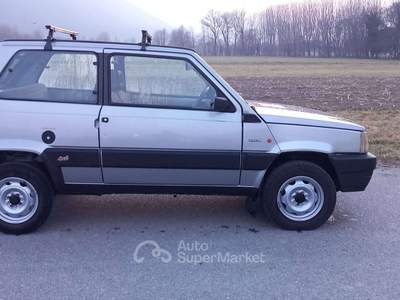 Fiat Panda 4X4 INIEZIONE  2 PROPRIETARI Argento usata Traona