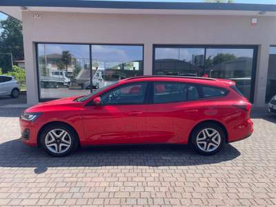 Ford Focus Focus 1.0 EcoBoost Hybrid 125 CV SW Business Rosso usata Cittadella