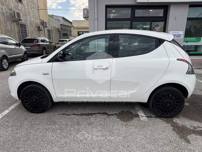 Lancia Ypsilon LANCIA Ypsilon 0.9 TwinAir 85 CV 5 porte Metano Ecochic Elefantino Bianco usata San Benedetto del Tronto