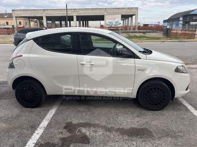 Lancia Ypsilon LANCIA Ypsilon 0.9 TwinAir 85 CV 5 porte Metano Ecochic Elefantino Bianco usata San Benedetto del Tronto