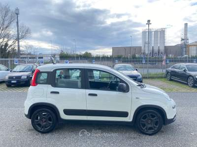 Fiat Panda N1 Bianco usata Livorno