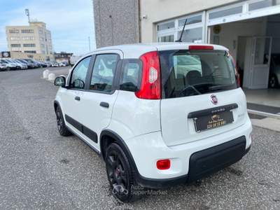 Fiat Panda N1 Bianco usata Livorno
