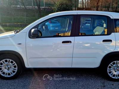 Fiat Panda LA PANDINA, piccola economica per un massimo utilizzo Bianco usata San Donato Milanese