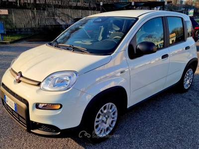 Fiat Panda LA PANDINA, piccola economica per un massimo utilizzo Bianco usata San Donato Milanese