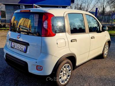 Fiat Panda LA PANDINA, piccola economica per un massimo utilizzo Bianco usata San Donato Milanese