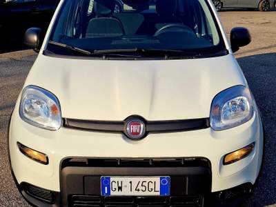 Fiat Panda LA PANDINA, piccola economica per un massimo utilizzo Bianco usata San Donato Milanese
