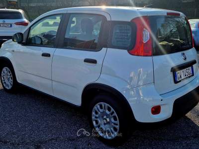 Fiat Panda LA PANDINA, piccola economica per un massimo utilizzo Bianco usata San Donato Milanese